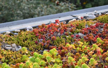 the cost of Grove Park green roof installation