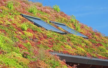 Grove Park living roof systems